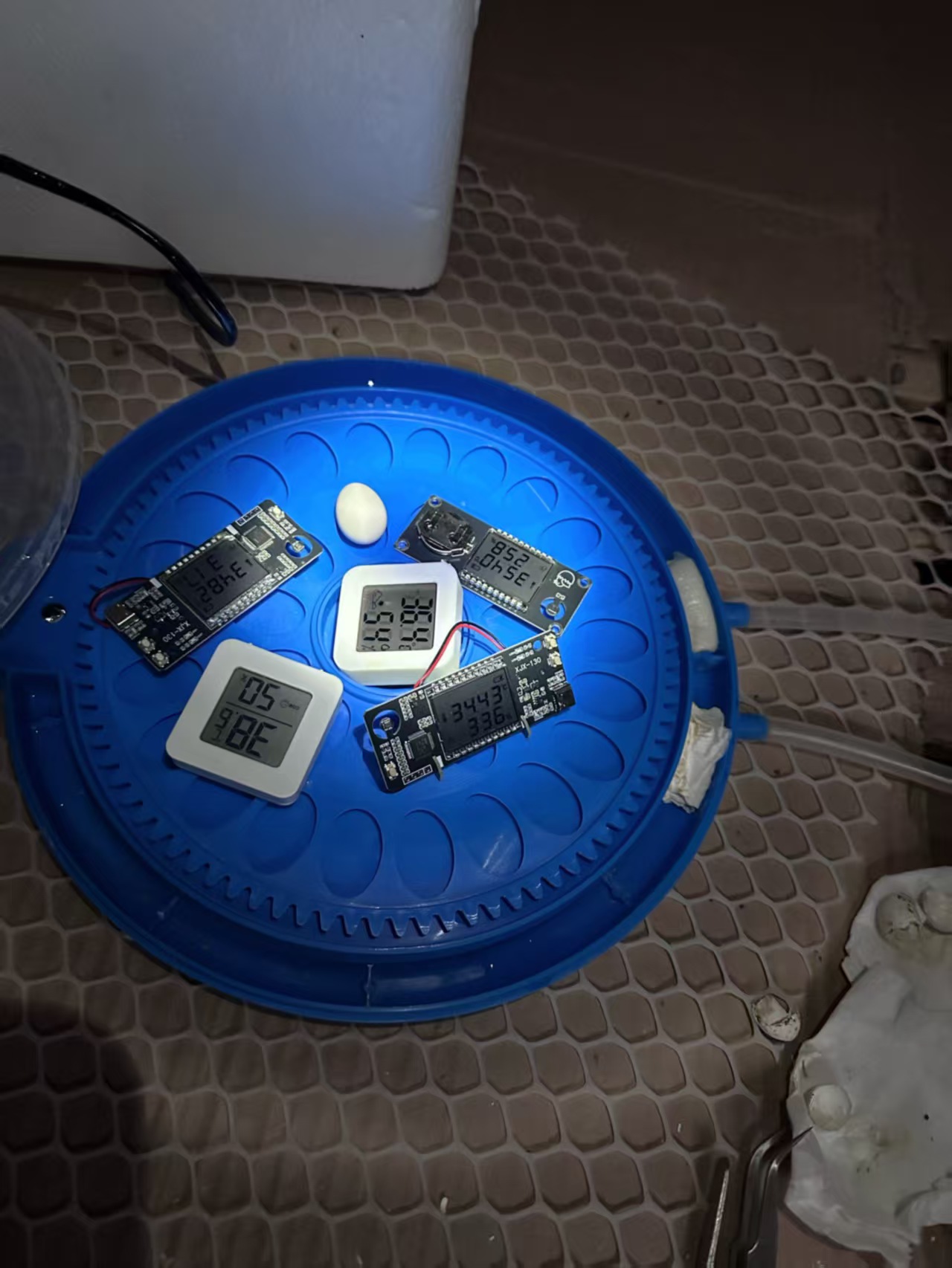 High-Precision Temperature & Humidity Monitor for Egg Incubators review Emily