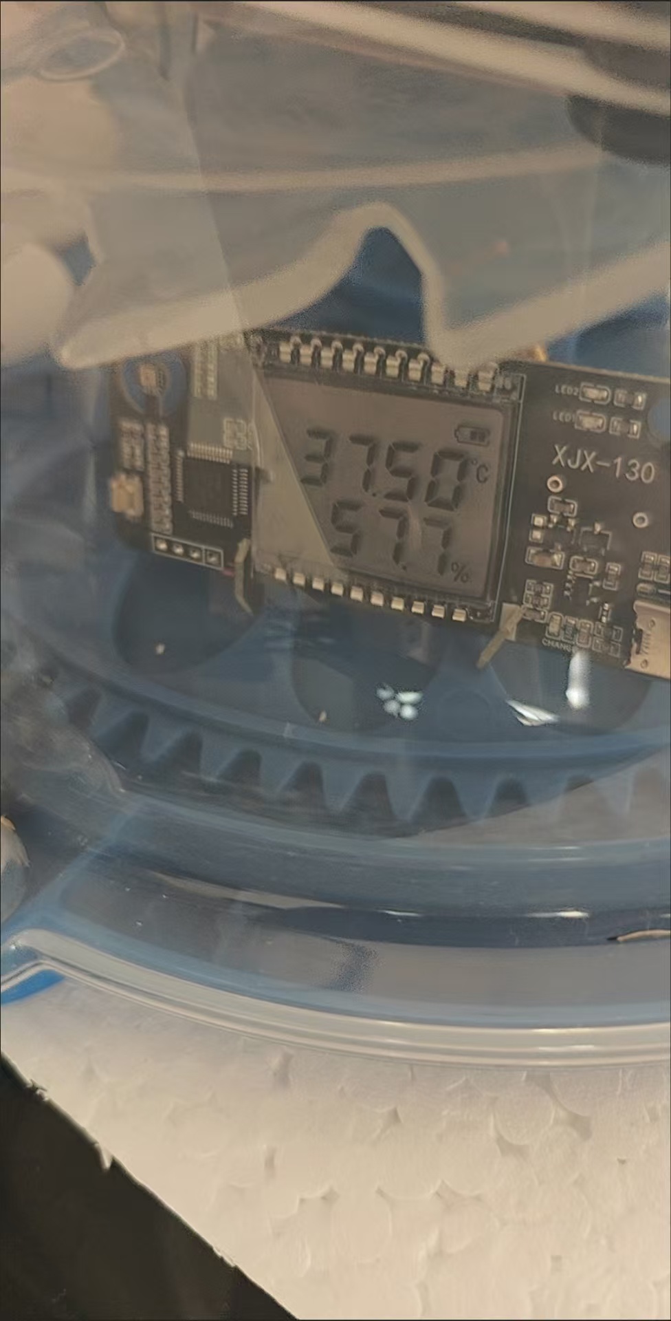 High-Precision Temperature & Humidity Monitor for Egg Incubators review Sarah