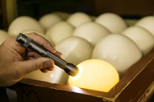 Egg Incubation Guide Part 3 Monitoring and Candling During Incubation