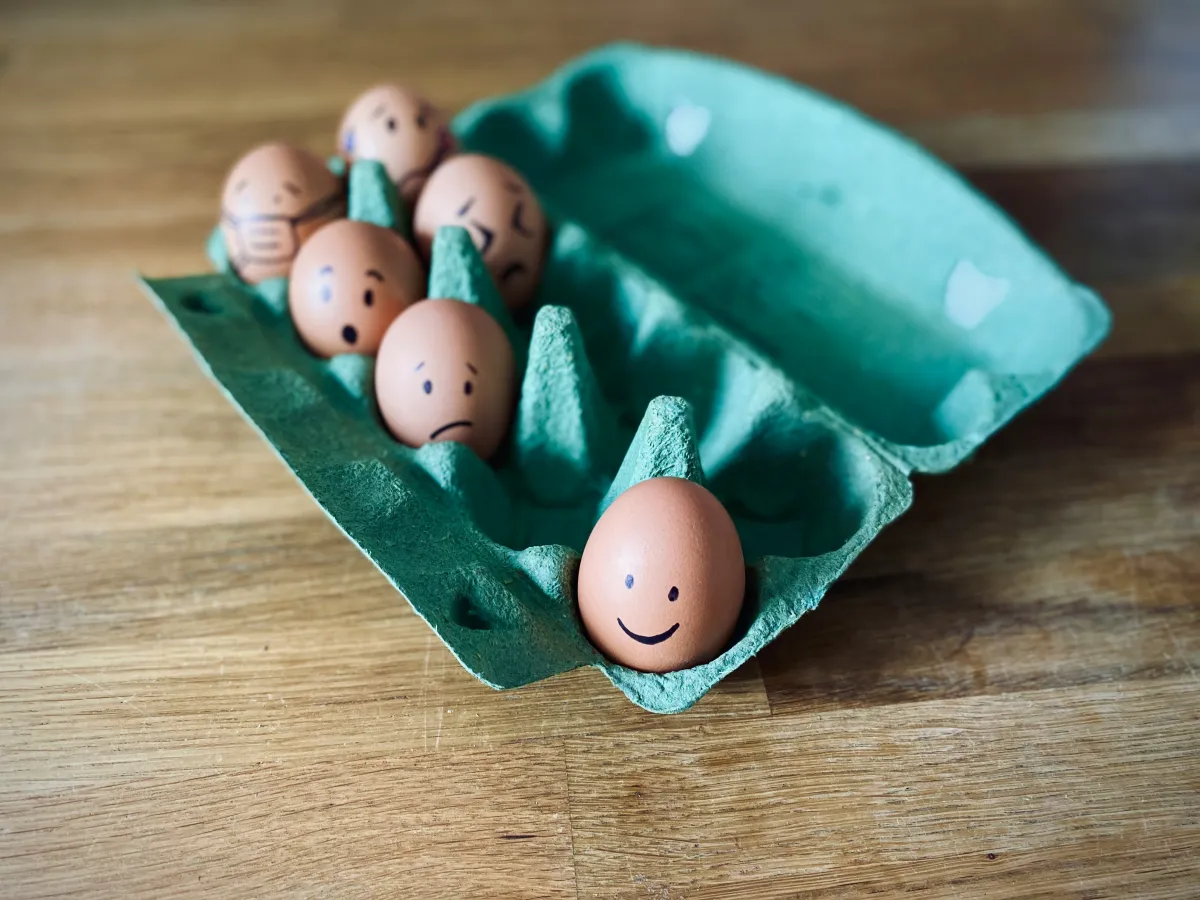 Hatching Failures? Track Down These 5 Common Culprits!