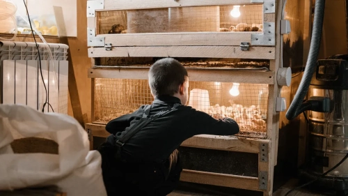 Top 10 Hatching Supplies Every Newbie Needs