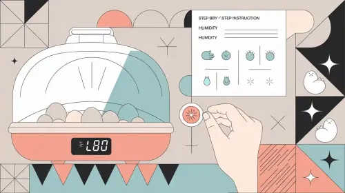 Lower humidity in incubator step-by-step for beginners