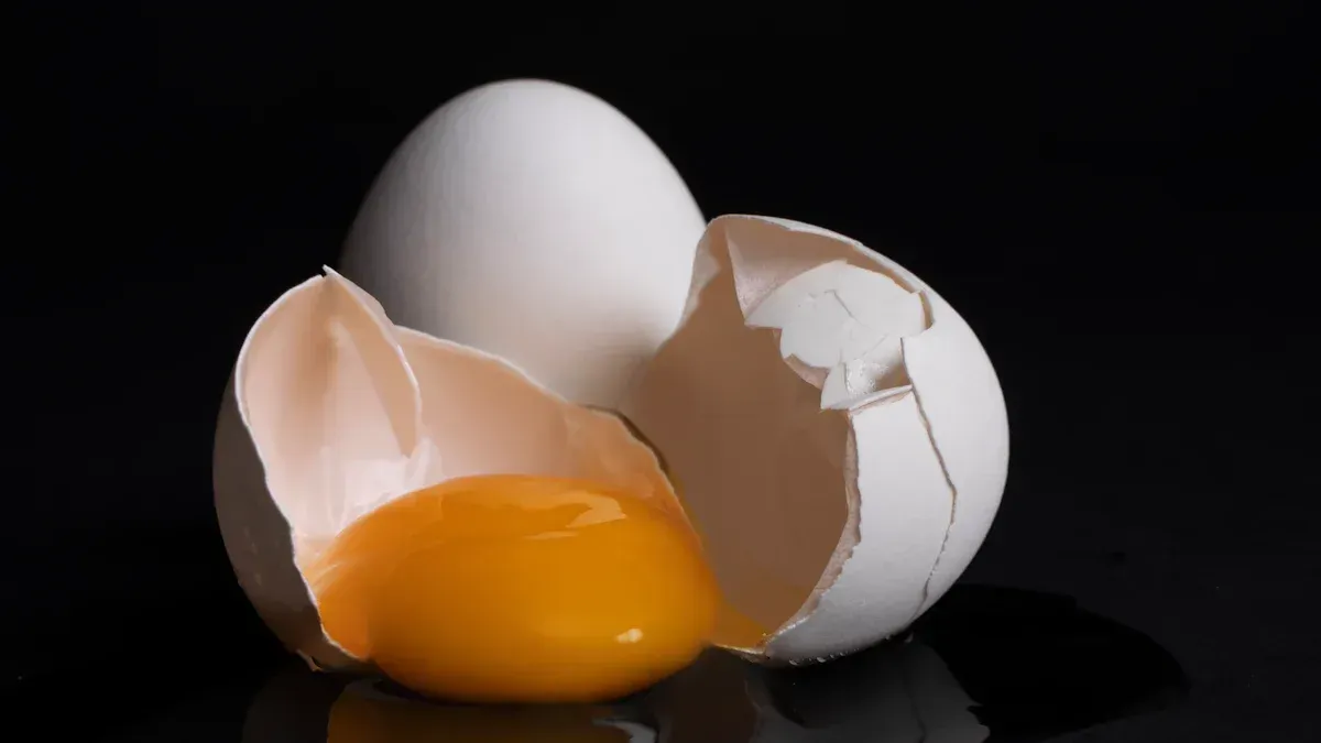 Top 10 Reasons for Egg Incubation Failure and How to Fix Them
