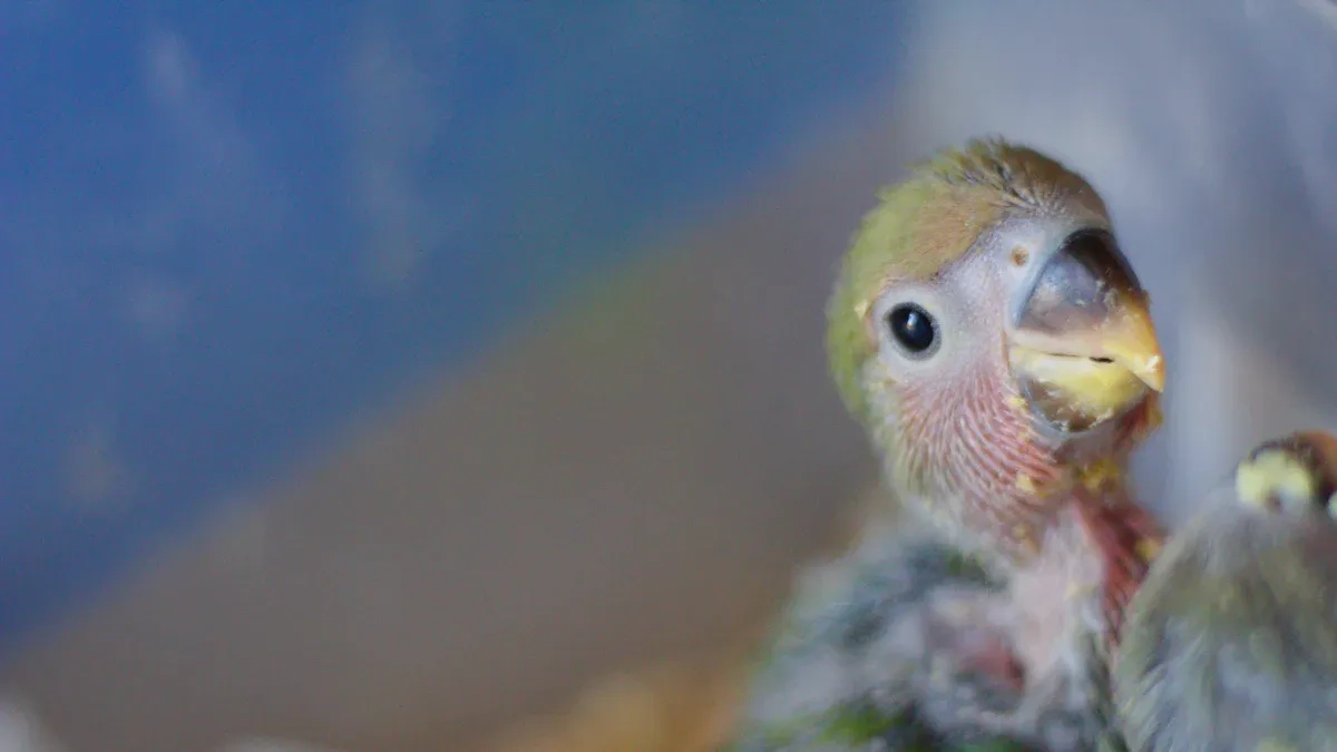 Parrot Egg Incubator Guide to Safer Setup and Stronger Chicks