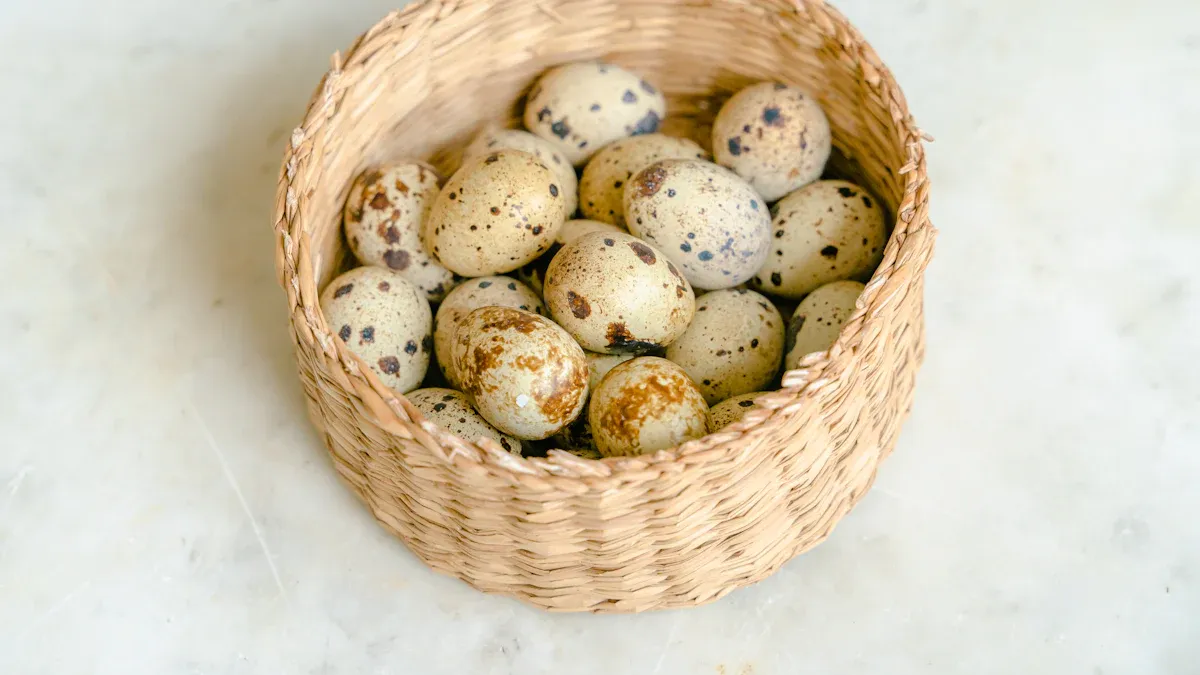 Button Quail (Blue-Breasted) Incubation Guide for Accurate Results