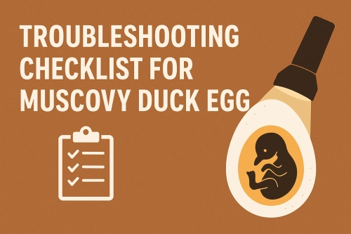 🪶 Ultimate Troubleshooting Checklist for Muscovy Duck Egg Incubation