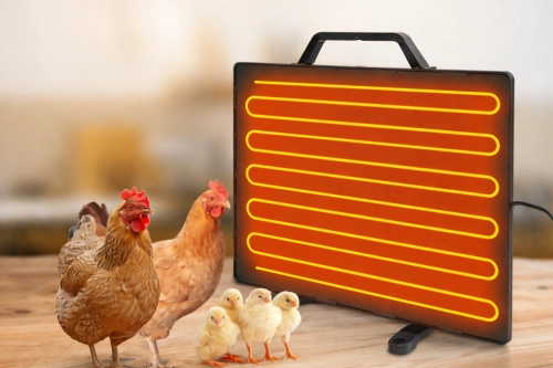 The Touch Test We Use to Check a Coop Heater Safely