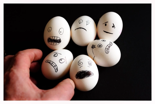 Step-by-Step Guide to Inspecting Eggs with an Egg Candler