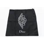 Dior x LJR Air Jordan 1 High OG CN8607-002 