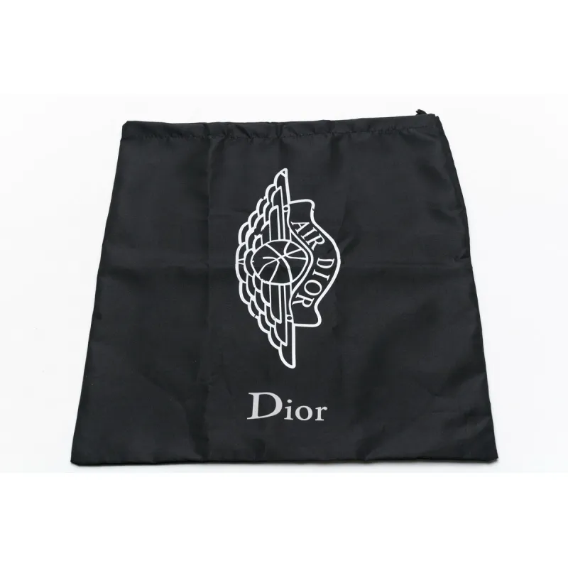 Dior x LJR Air Jordan 1 High OG CN8607-002 