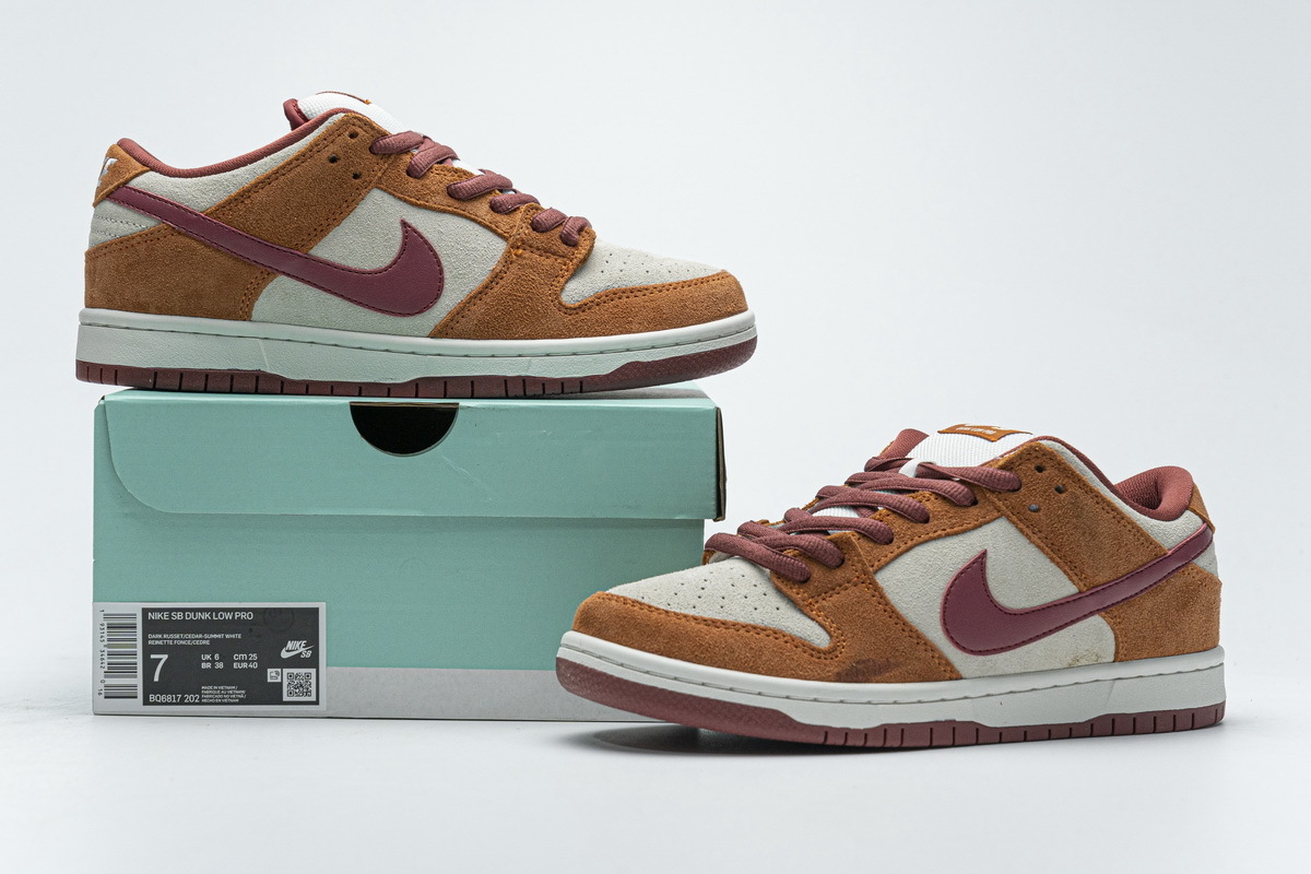 H12 Nike SB Dunk Low Pro Dark Russet Cedar BQ6817-202