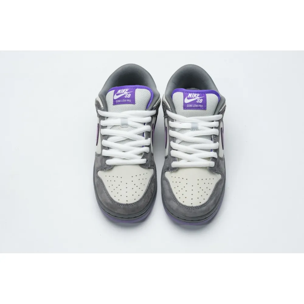 H12 Nike Dunk SB Low Purple Pigeon 304292-051 