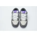 H12 Nike Dunk SB Low Purple Pigeon 304292-051 