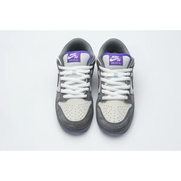 H12 Nike Dunk SB Low Purple Pigeon 304292-051 