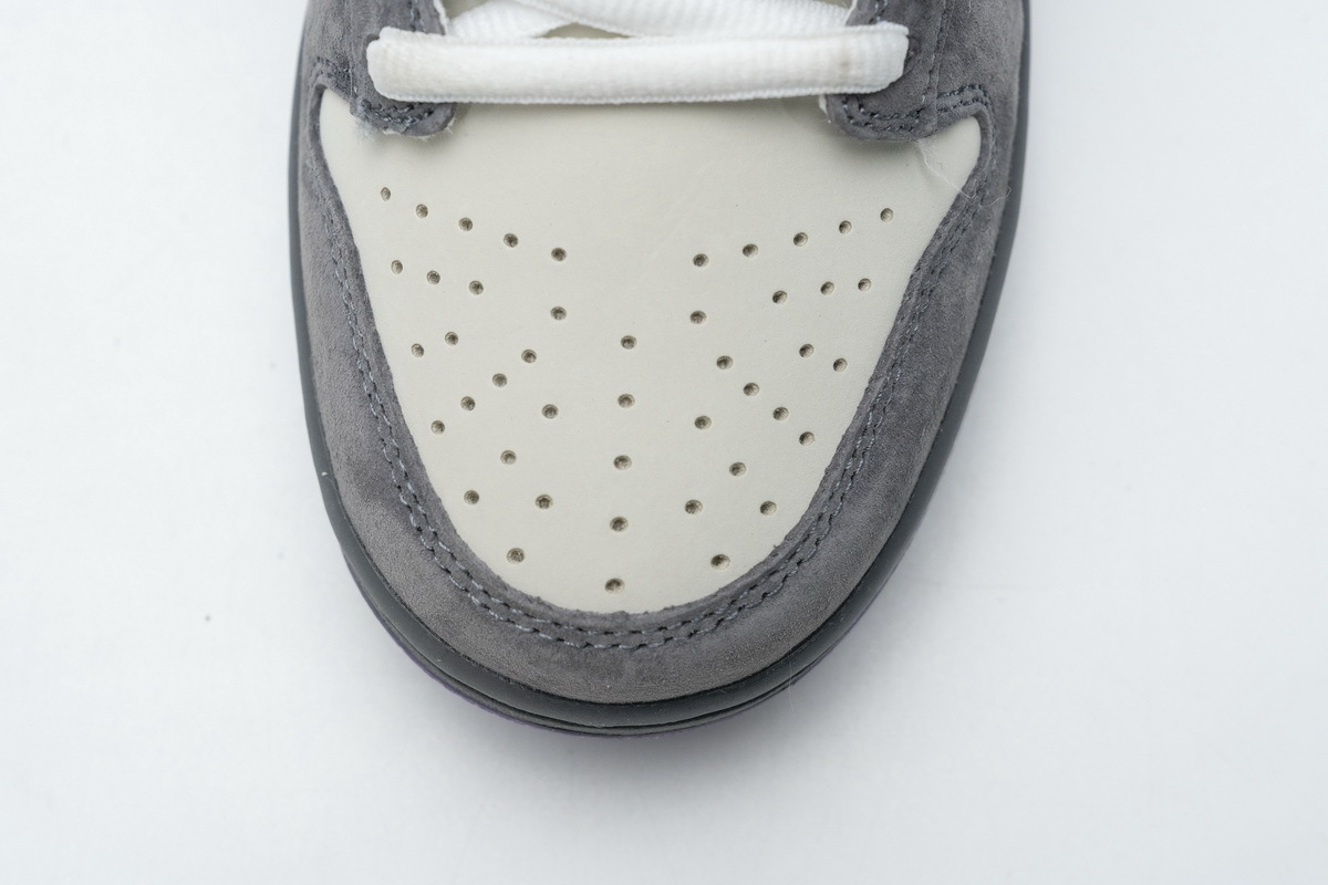 H12 Nike Dunk SB Low Purple Pigeon 304292-051 