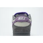 H12 Nike Dunk SB Low Purple Pigeon 304292-051 