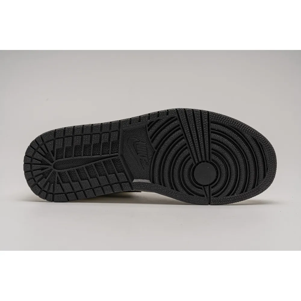 Get Air Jordan 1 Retro High Rookie of the Year 555088-700