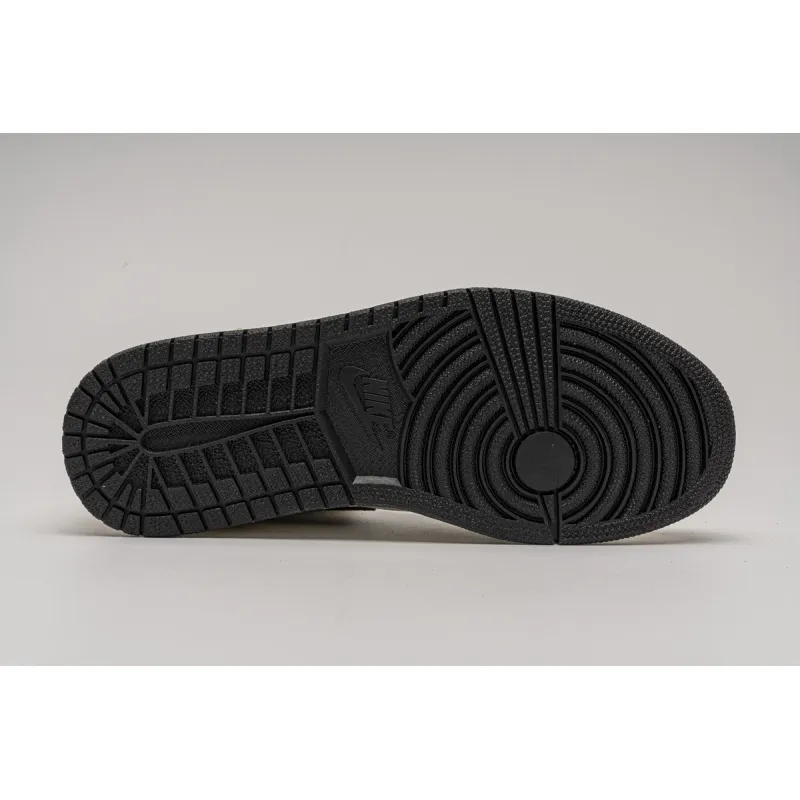 Get Air Jordan 1 Retro High Rookie of the Year 555088-700