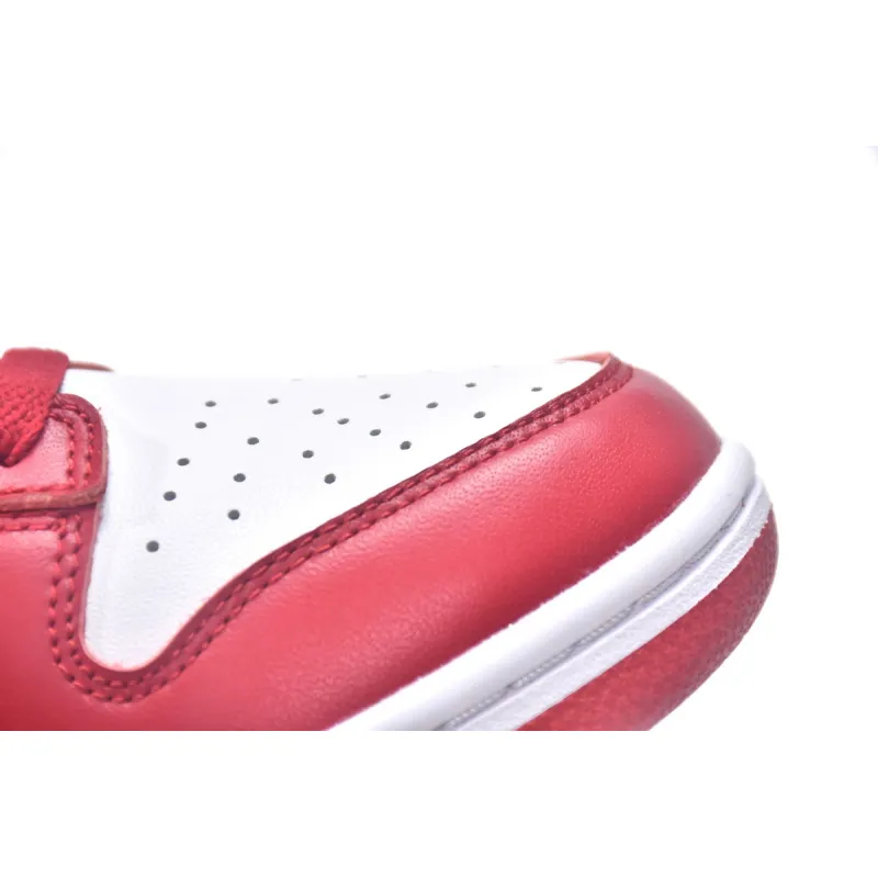 H12 Nike Dunk Low Gym Red DD1391-602