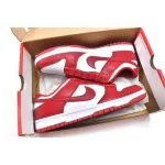 H12 Nike Dunk Low Gym Red DD1391-602