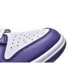 H12 Nike Dunk Low Championship Court Purple DD1391-104