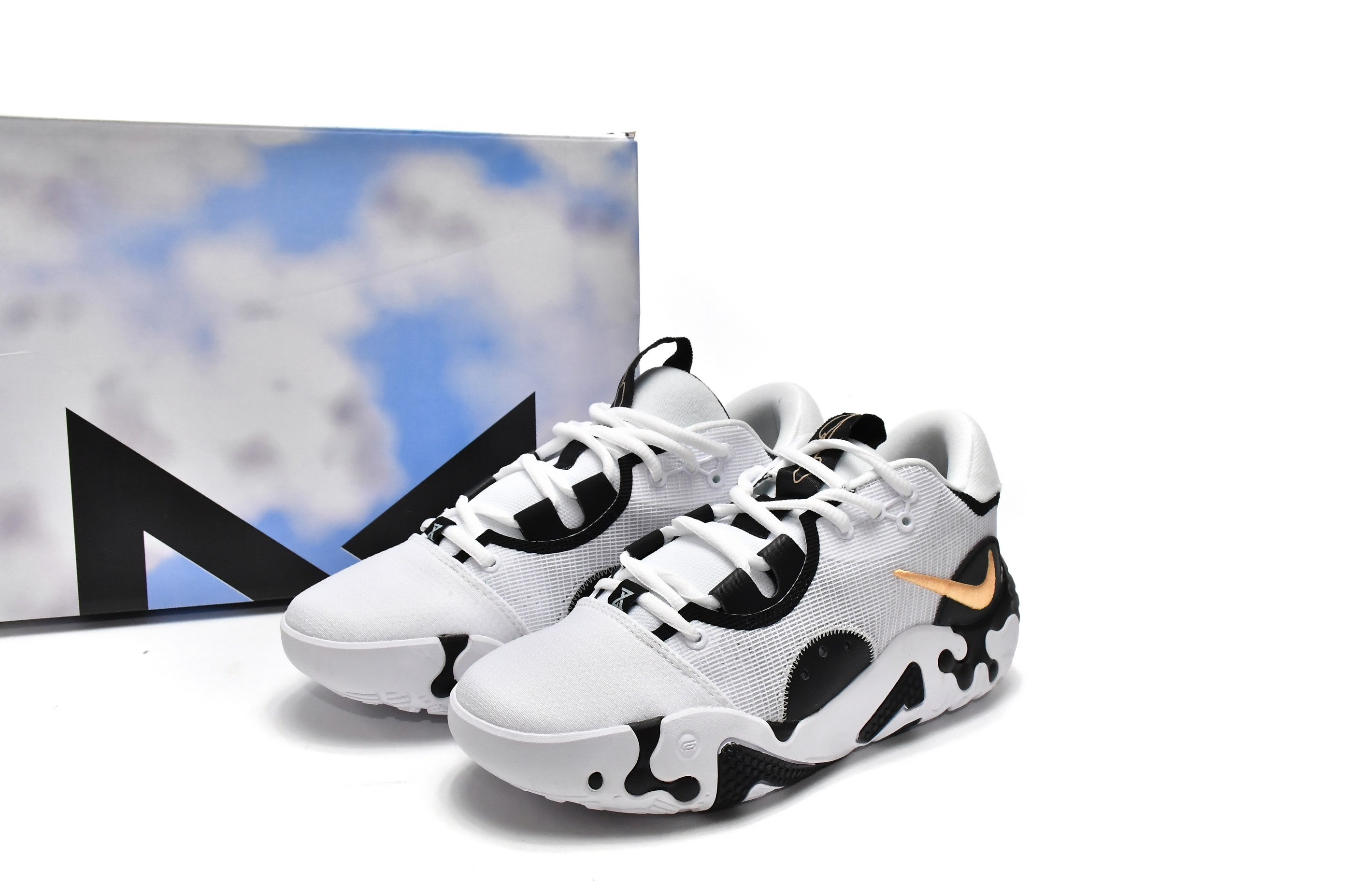 Nike PG 6 EP Panda DH8447-101