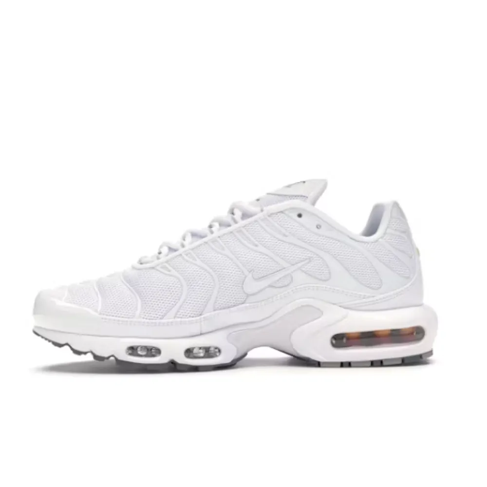 Nike Air Max Plus White 604133-139