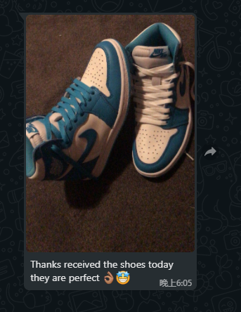 monica sneakers