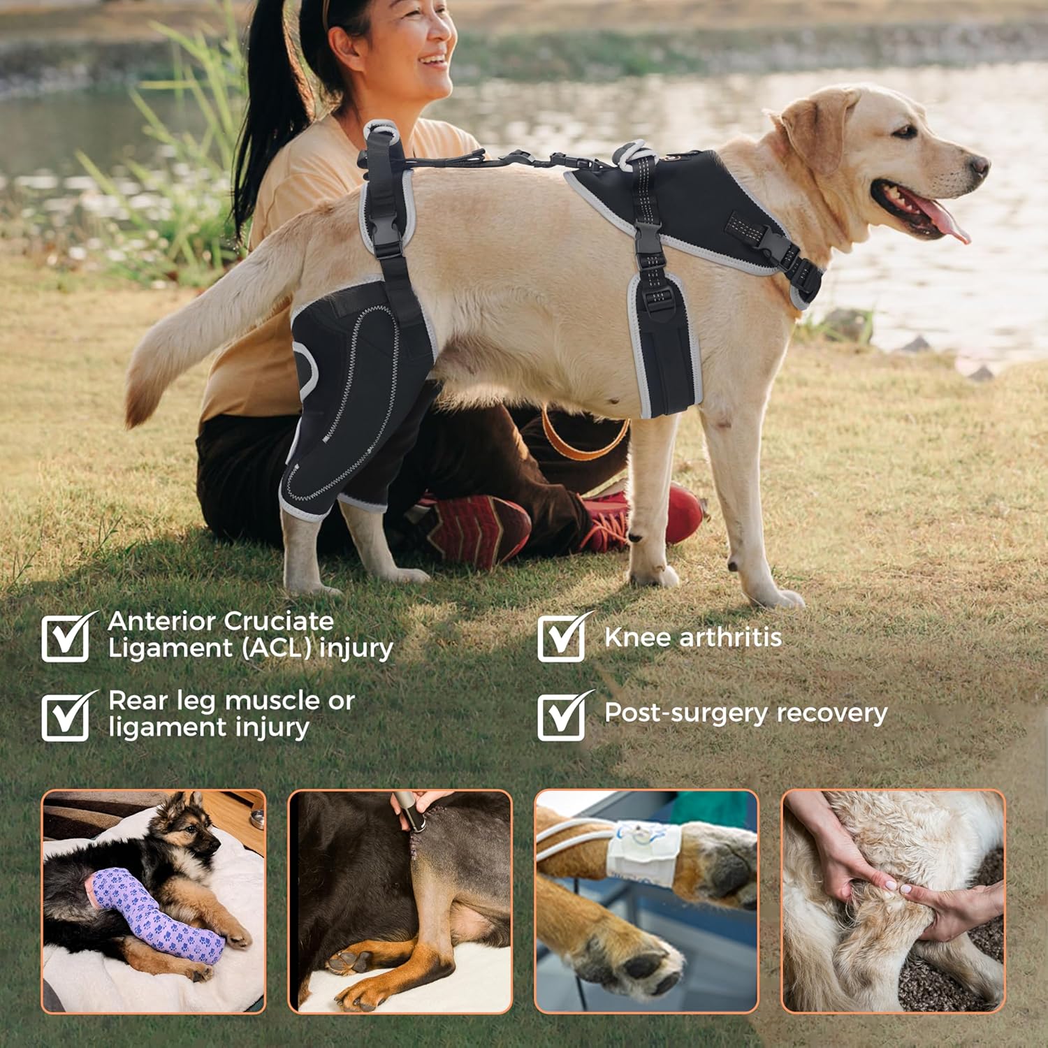 Lispoo Adjustable Dog Rear Leg Brace