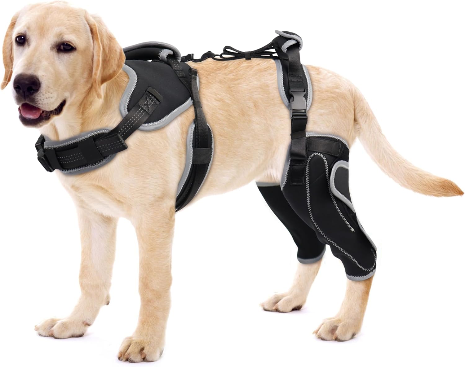 Lispoo Adjustable Dog Rear Leg Brace