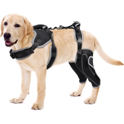 Lispoo Adjustable Dog Rear Leg Brace 01