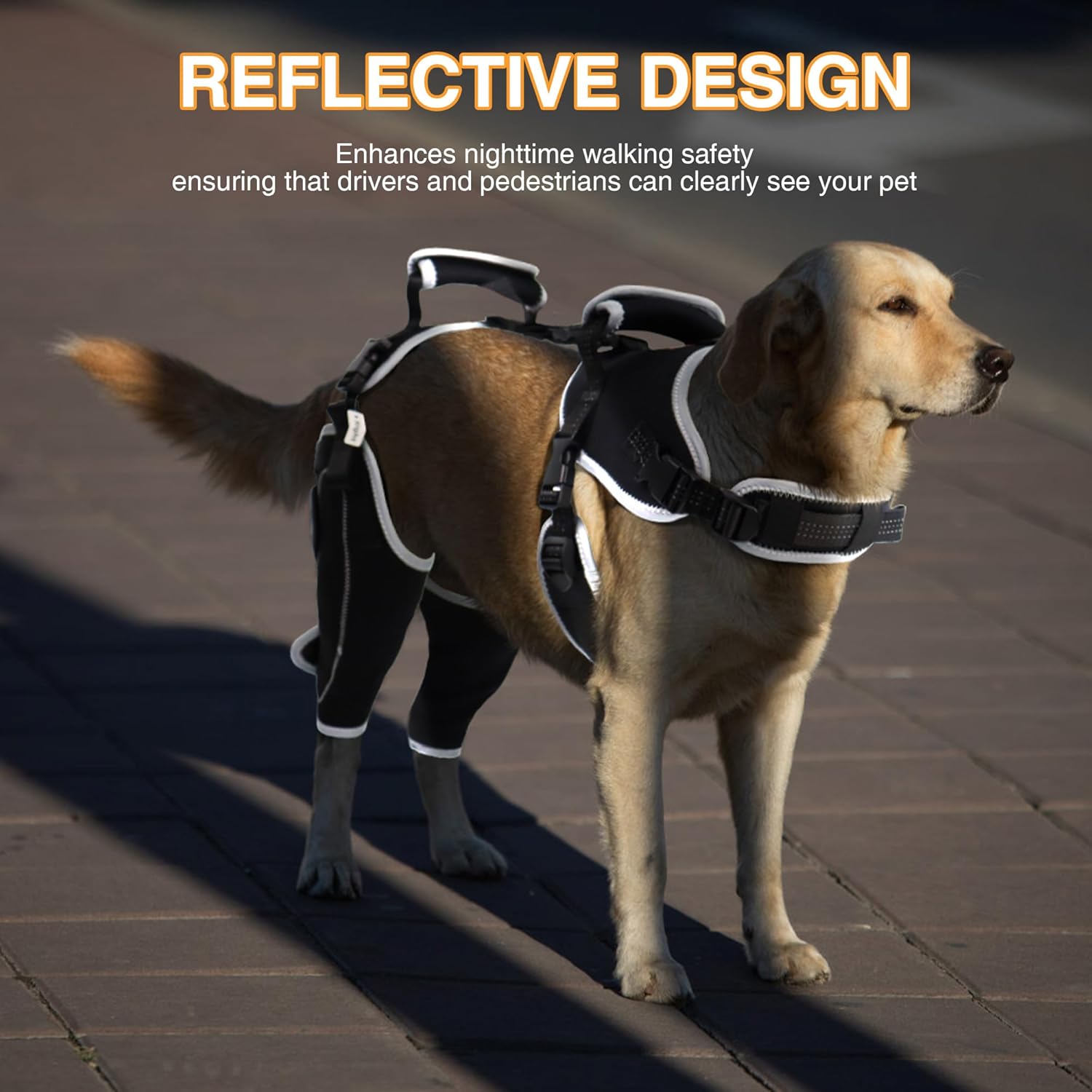 Lispoo Adjustable Dog Rear Leg Brace