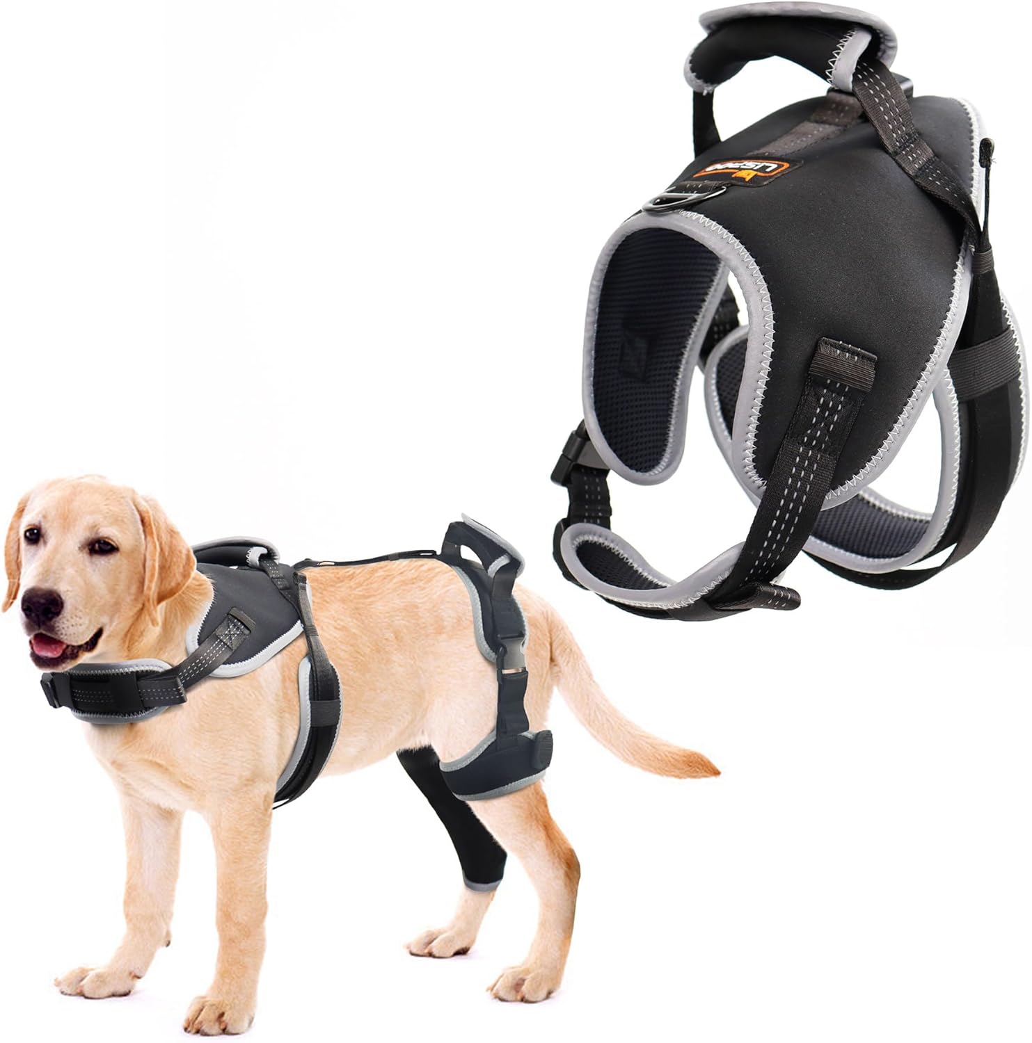 Lispoo Adjustable Dog Rear Leg Brace