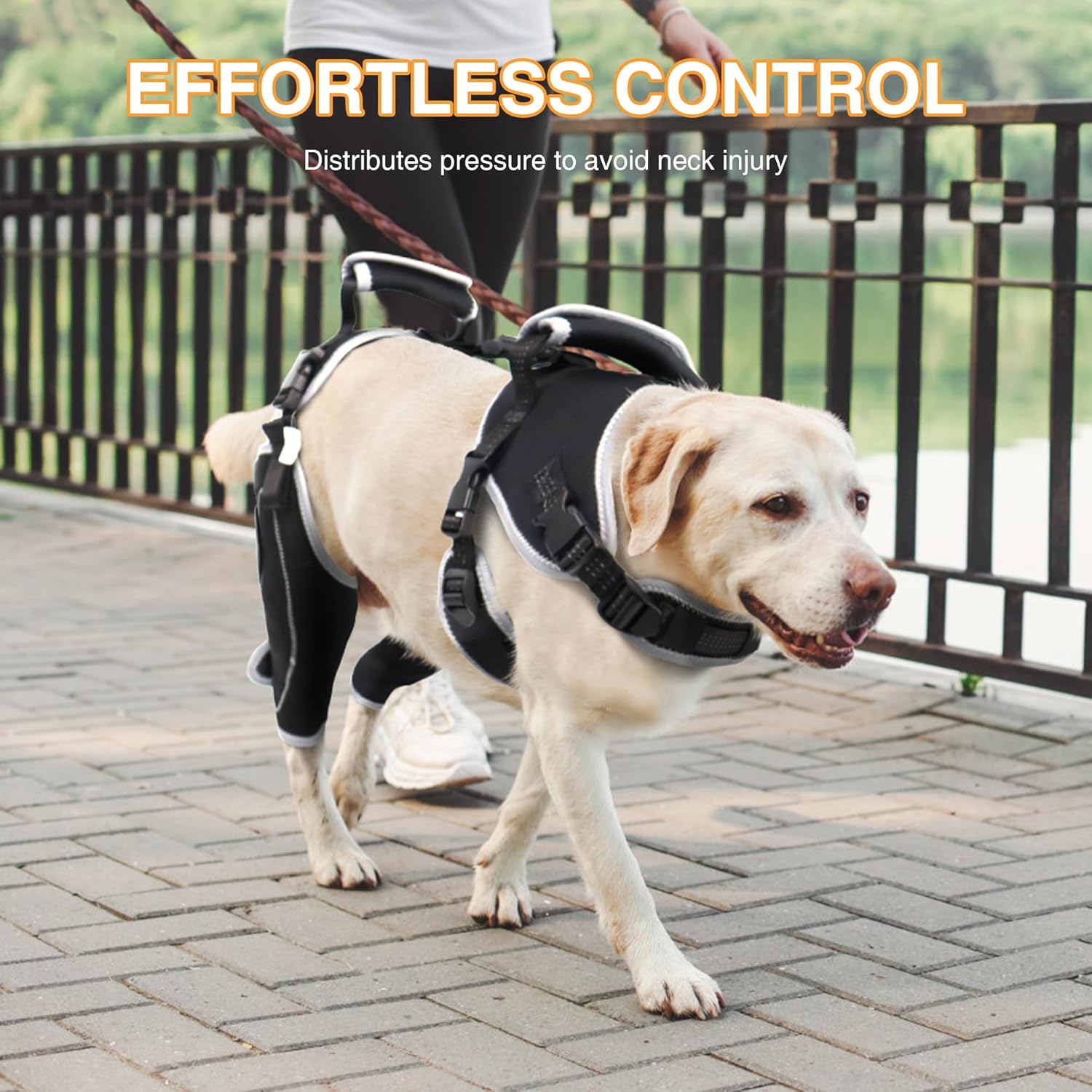 Lispoo Adjustable Dog Rear Leg Brace