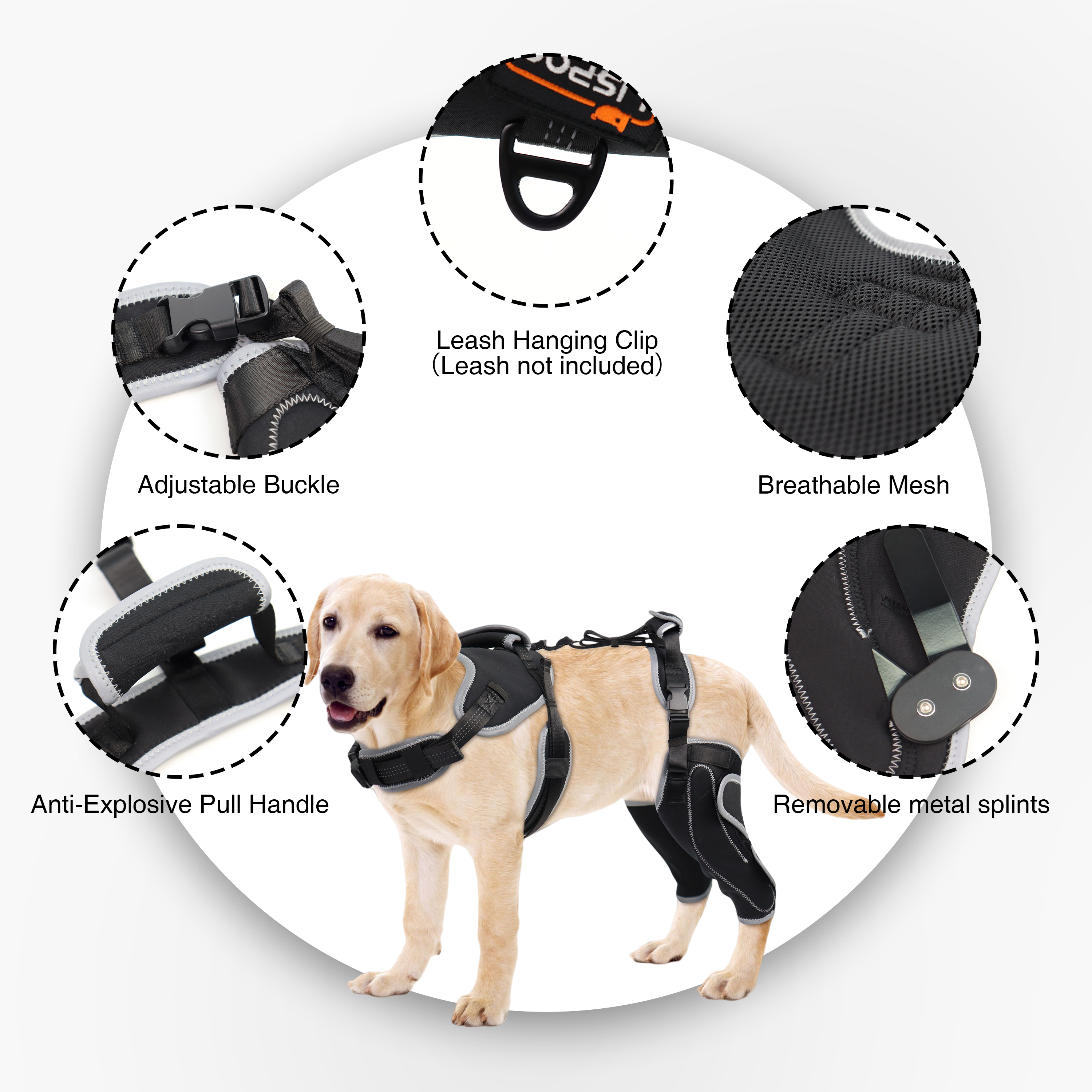 Lispoo Adjustable Dog Rear Leg Brace