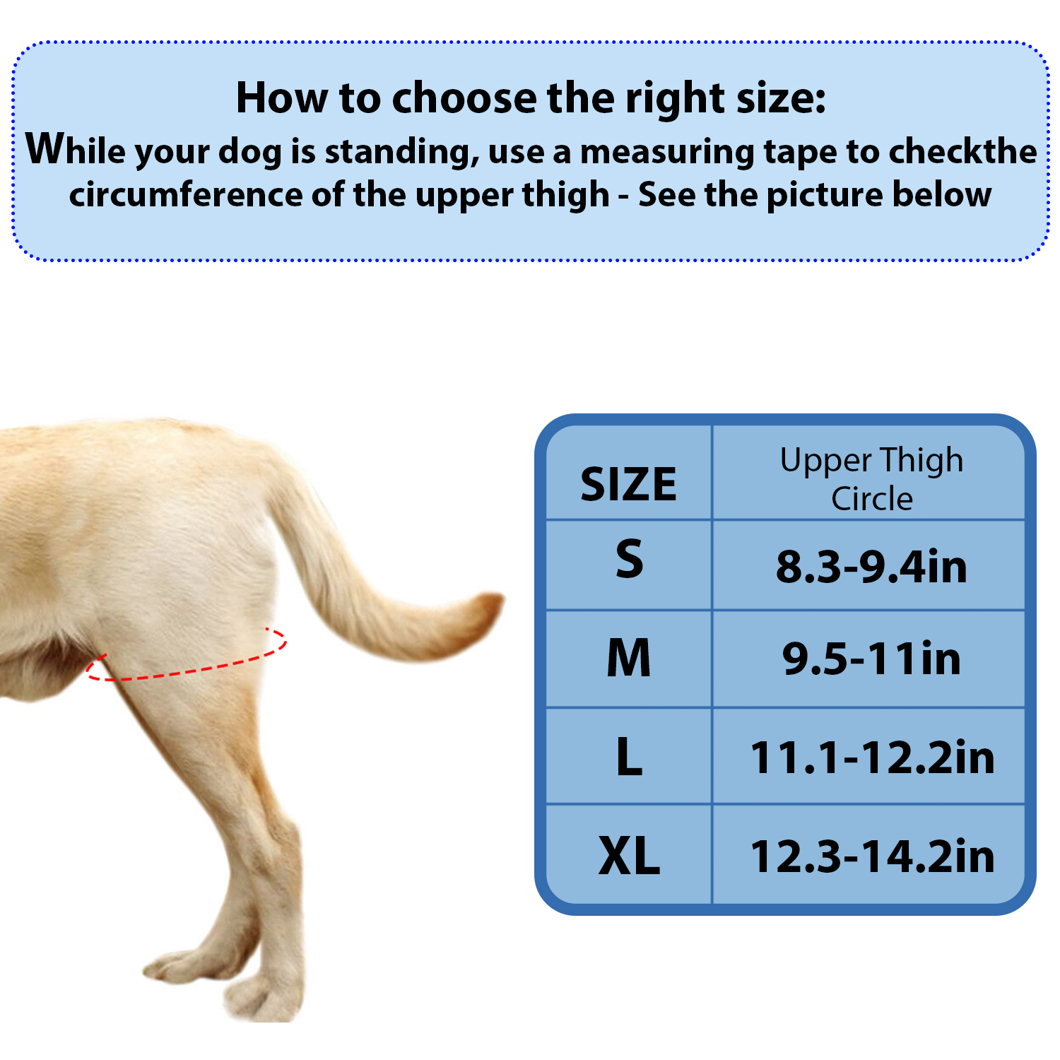 Lispoo Dog Knee Brace Adjustable Hinged Stifle Stabilizer for Torn ACL/CCL