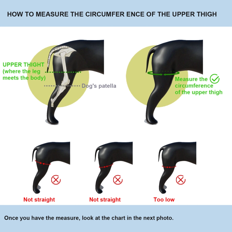 Lispoo Dog Leg Knee Support Braces for Torn ACL/CCL