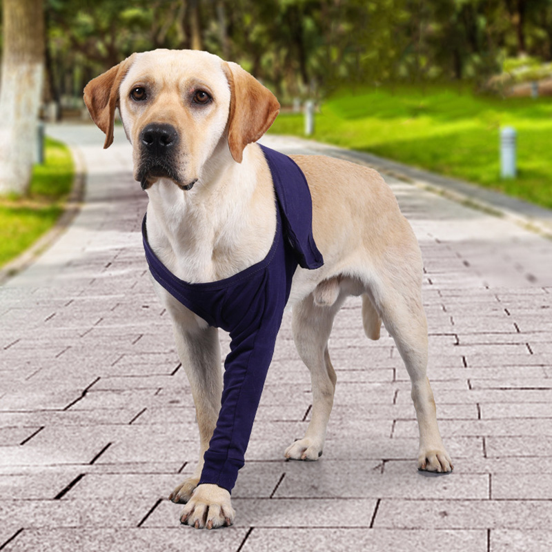 Lispoo Dog Elbow Support Brace