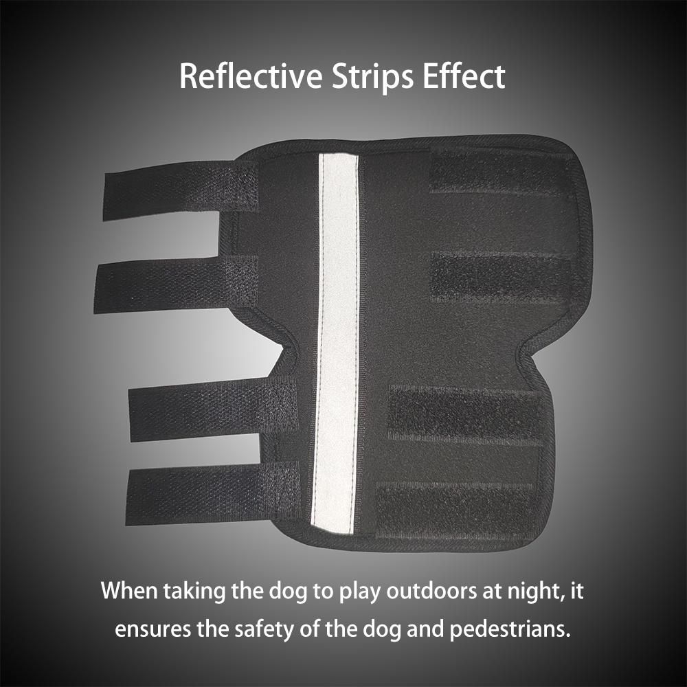 Lispoo Dog Hock (Tarsal) Support Brace