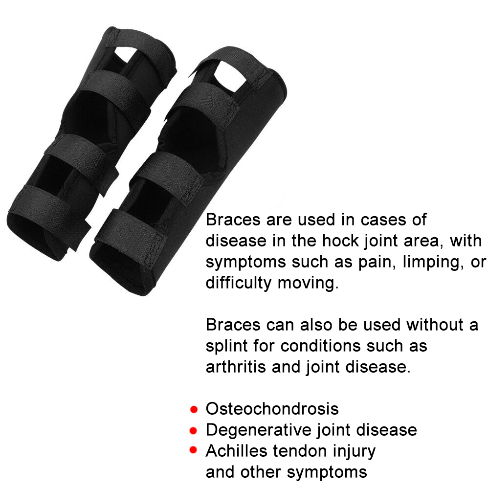 Lispoo Dog Hock (Tarsal) Support Brace