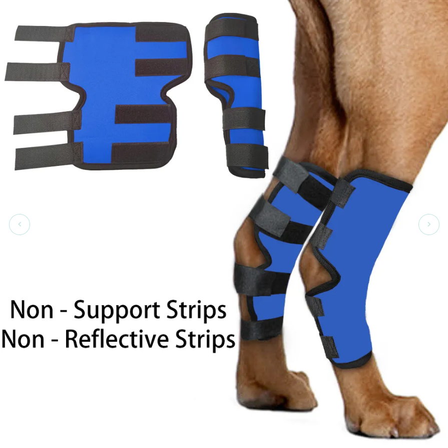 Lispoo Dog Hock (Tarsal) Support Brace
