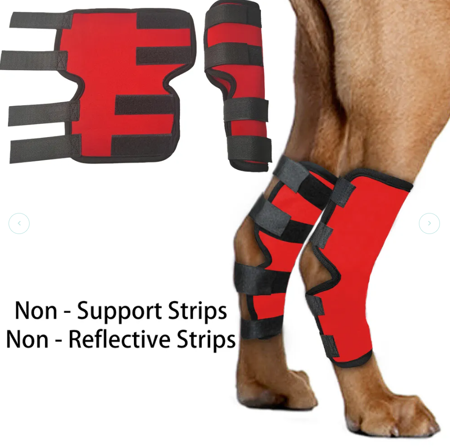 Lispoo Dog Hock (Tarsal) Support Brace