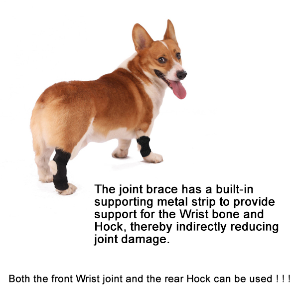 Lispoo Dog Hock Brace for Injury Recovery