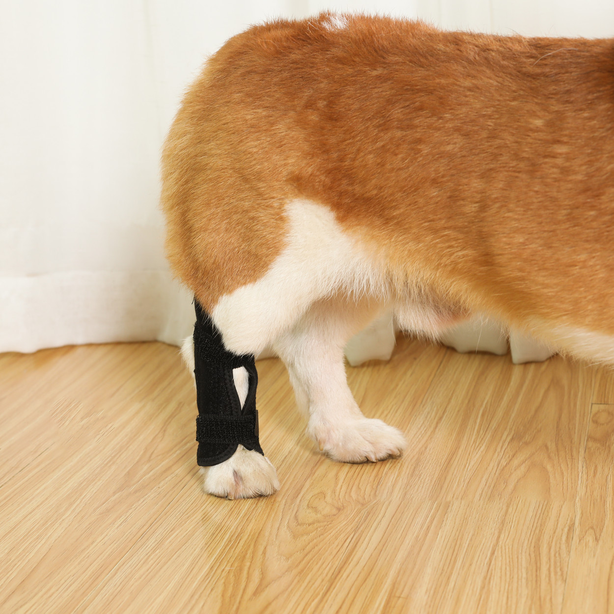 Lispoo Dog Hock Brace for Injury Recovery
