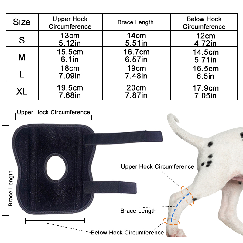 Lispoo Dog Hock Brace for Injury Recovery