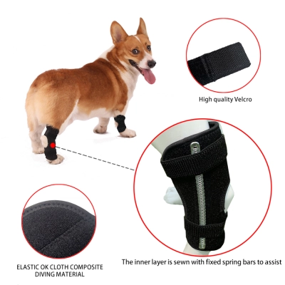Lispoo Dog Hock Brace for Injury Recovery 02