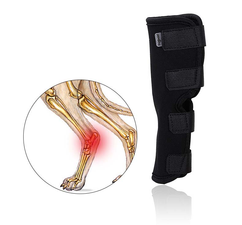 Lispoo Dog Hock Brace for Recovery