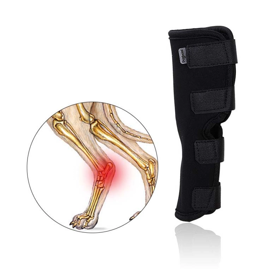 Lispoo Dog Hock Brace for Recovery
