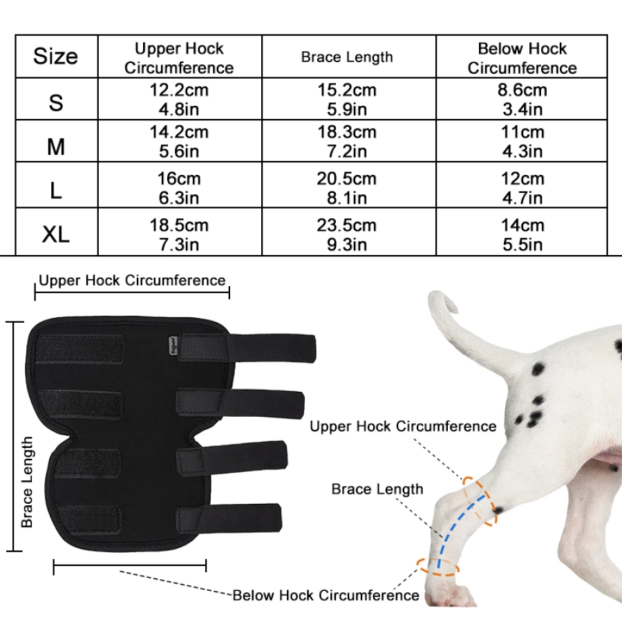 Lispoo Dog Hock Brace for Recovery