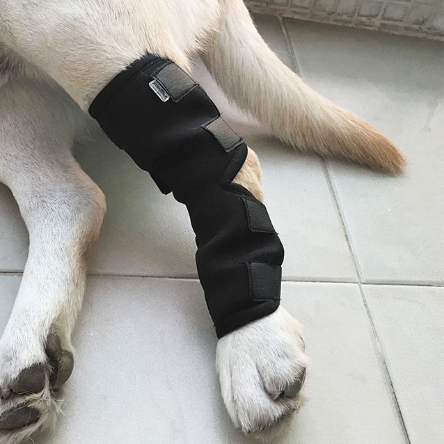 Lispoo Dog Hock Brace for Recovery